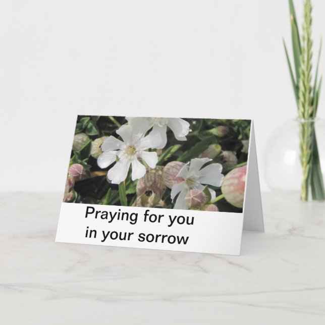 Gemeine Leimkräuter, Cornwall Karte (Vorderseite)