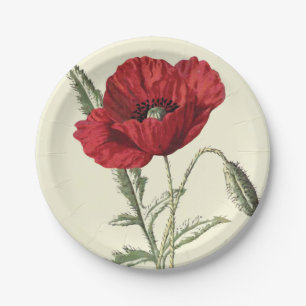 Gemeine Mohnblumen-Vintage botanische Illustration Pappteller