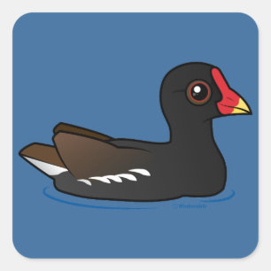 Gemeine Moorhen Quadratischer Aufkleber