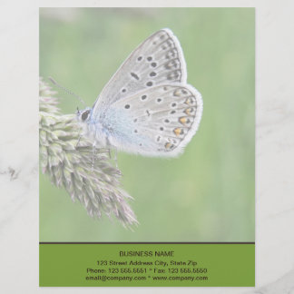 Gemeiner blauer Schmetterling auf Gras Briefbogen