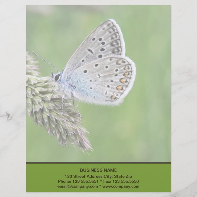 Gemeiner blauer Schmetterling auf Gras Briefbogen (Vorderseite)