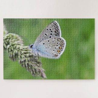 Gemeiner blauer Schmetterling auf Gras Puzzle