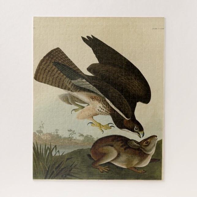 Gemeiner Buzzard - von Audubons Vögeln Amerikas Puzzle (Vertikal)