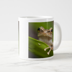 Gemeiner Coqui, Eleutherodactylus coqui Jumbo-Tasse