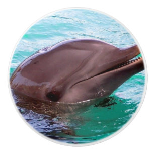 Gemeiner Delphin Keramikknauf