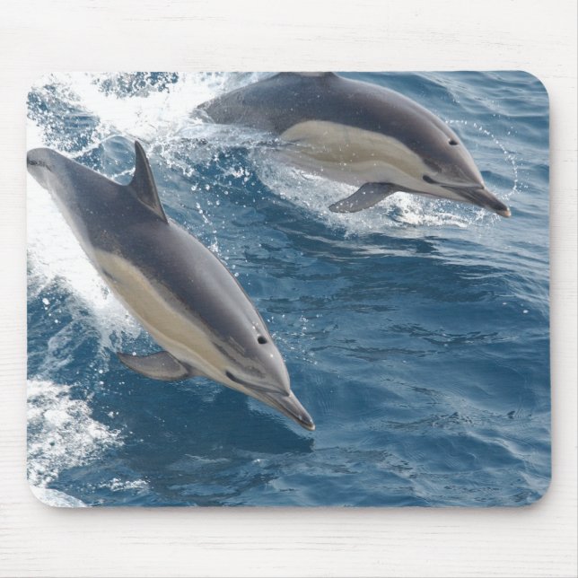 Gemeiner Delphin Mousepad (Vorne)