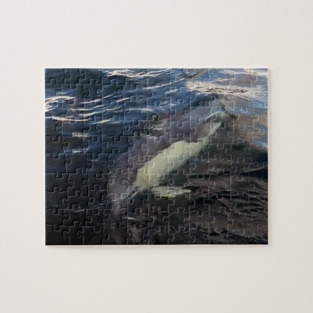 Gemeiner Dolphin-Schwimmen-Puzzle Puzzle (Horizontal)