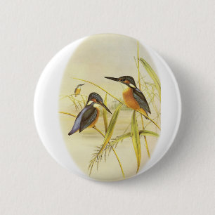 Gemeiner Eisvogel Button