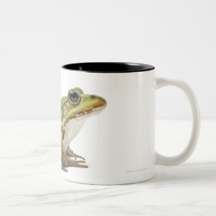 Gemeiner europäischer Frosch oder essbarer Frosch Zweifarbige Tasse