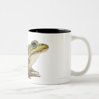 Gemeiner europäischer Frosch oder essbarer Frosch Zweifarbige Tasse