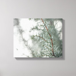 Gemeiner Junior-Naturefotograf Leinwanddruck