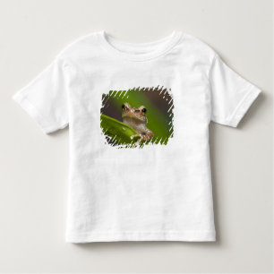 Gemeiner Kakao, Eleutherodactylus coqui Kleinkind T-shirt
