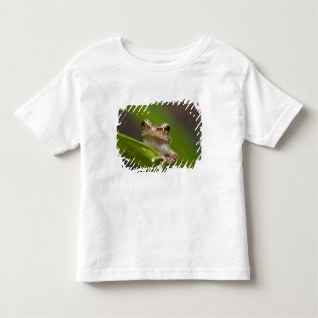 Gemeiner Kakao, Eleutherodactylus coqui Kleinkind T-shirt (Vorderseite)