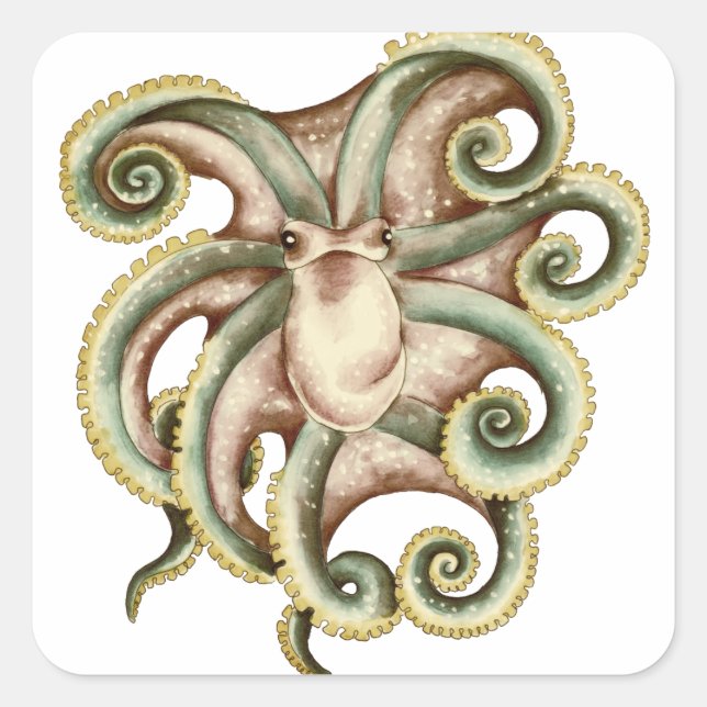 Gemeiner Kraken Quadratischer Aufkleber (Vorderseite)