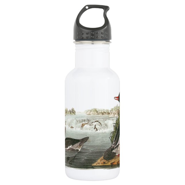 Gemeiner Merganser von Audubon Edelstahlflasche (Vorderseite)