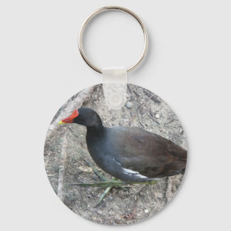 Gemeiner Moorhen-Schlüsselanhänger Schlüsselanhänger