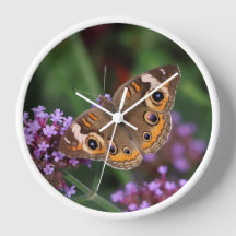 Gemeiner Schmetterling auf der Verbena Wall Uhr
