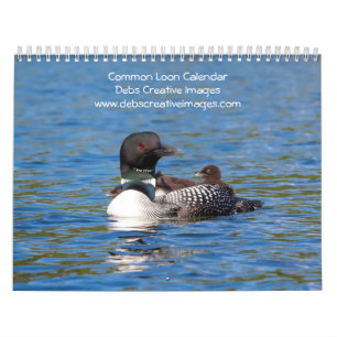 Gemeiner-Sterntaucher-Kalender 2026 Kalender