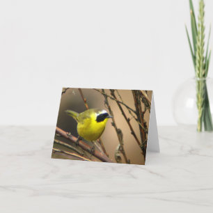 Gemeiner Yellowthroat • Joe Sweeney - Karte