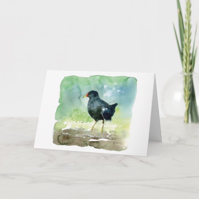 gemeines Teichhuhn Karte (Vorderseite)