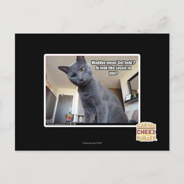 Gemeines Wadya "erhalten Hilfe"? Postkarte (Vorderseite)