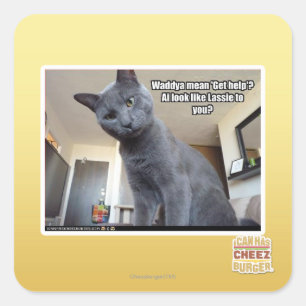 Gemeines Wadya "erhalten Hilfe"? Quadratischer Aufkleber