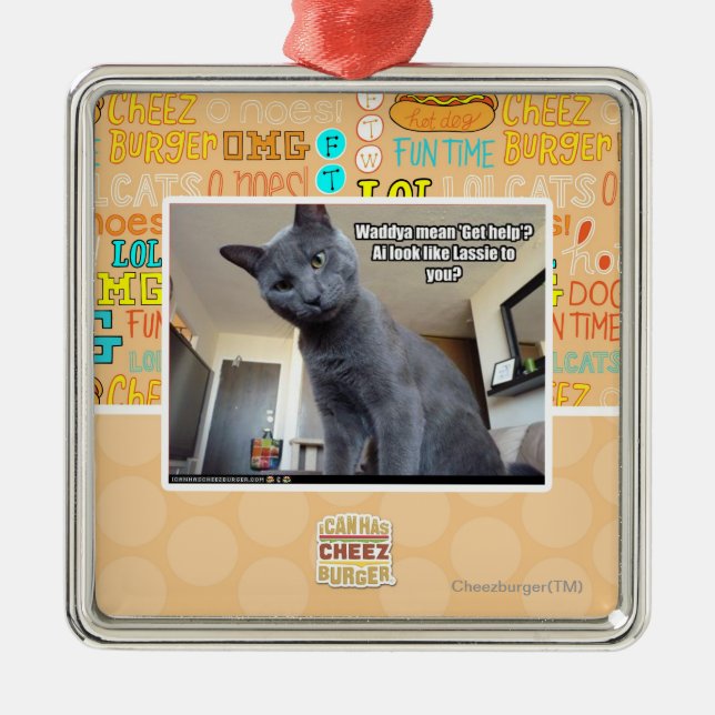 Gemeines Wadya "erhalten Hilfe"? Silbernes Ornament (Vorne)