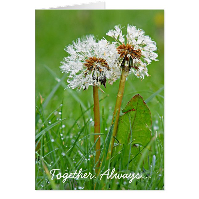 Gemeinsam. Immer... (Vorne)