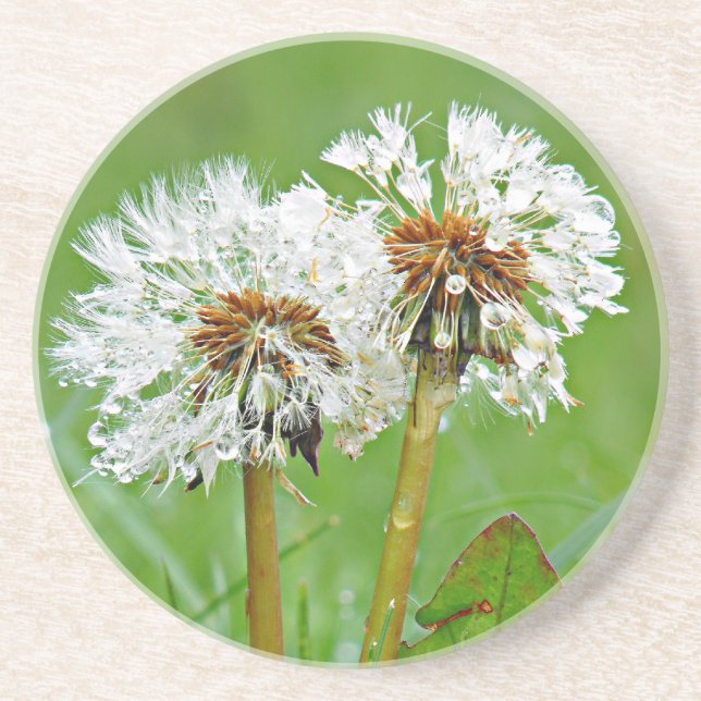 Gemeinsam. Immer Getränkeuntersetzer (Vorne)