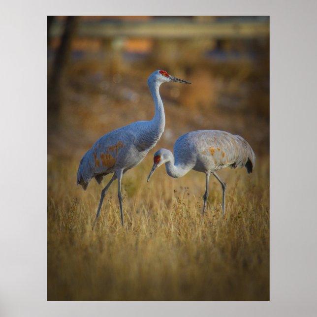 Gemeinsam Poster (Vorne)