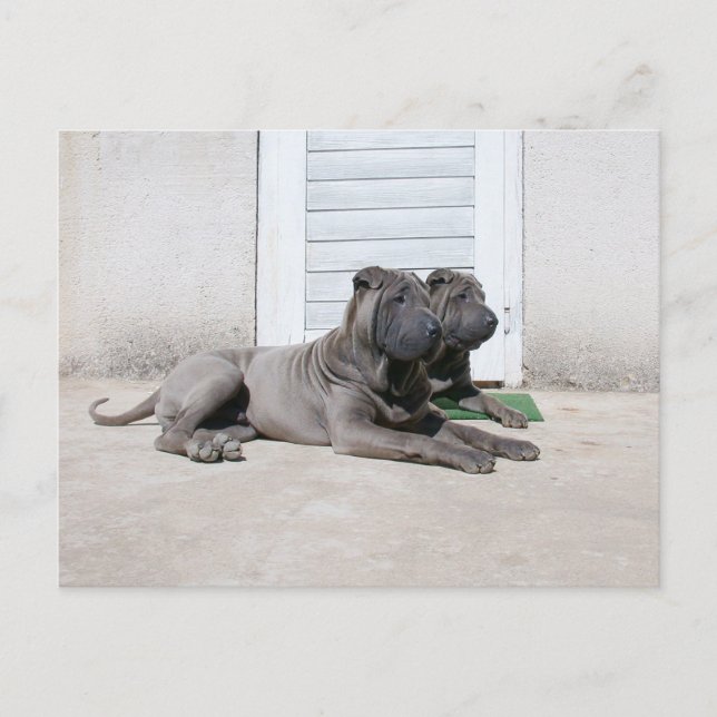 Gemeinsam Postkarte (Vorderseite)