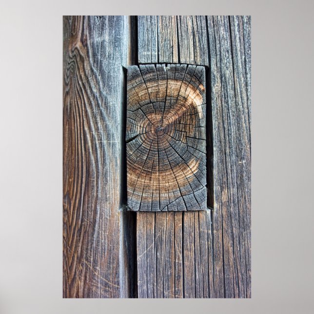 GEMEINSAME ANTIQUITÄTSMEHRUNG UND TENON - JAPAN POSTER (Vorne)