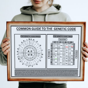 Gemeinsame Haltung zum genetischen Code Poster