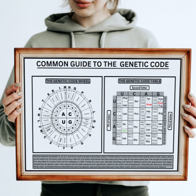 Gemeinsame Haltung zum genetischen Code Poster (Von Creator hochgeladen)