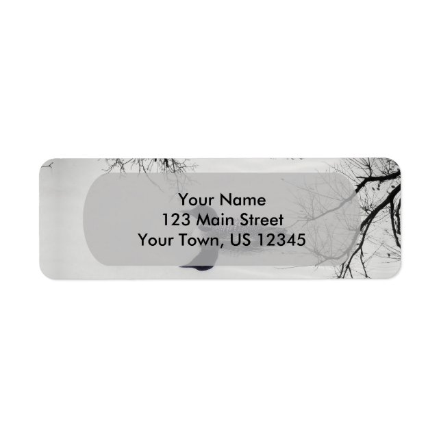 Gemeinsame Loon-Swims im Winter im Nordsee (Vorne)