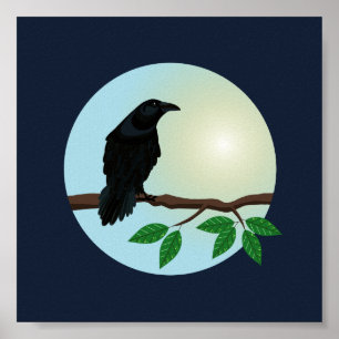 Gemeinsame Raven-Abbildung Poster
