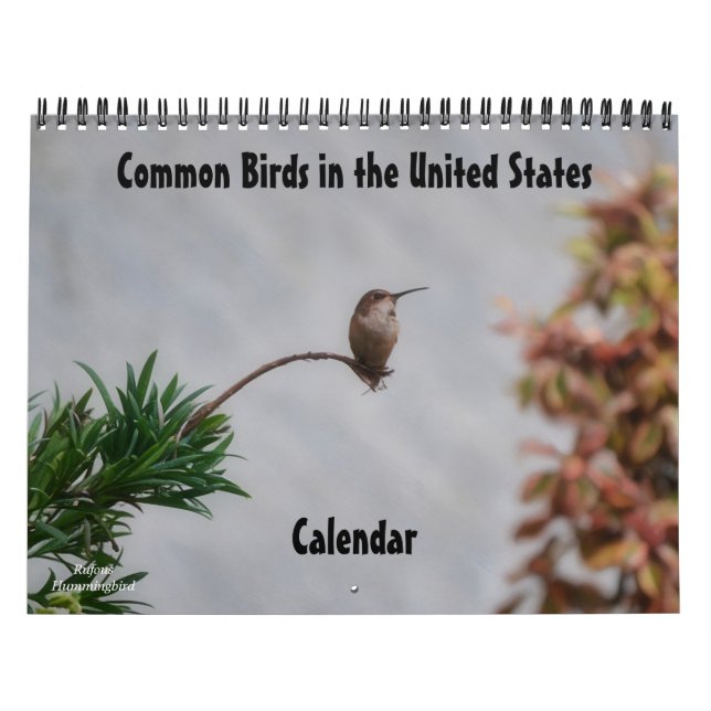 Gemeinsame Vogelarten im Kalender der Staaten (Titelbild)