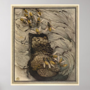 GEMEINSAME WASPS - Illustration des Insektenbuchs Poster
