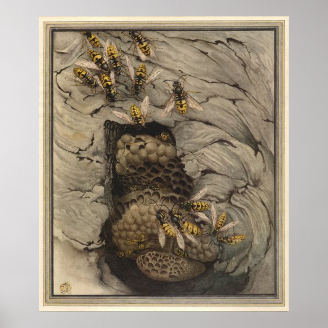 GEMEINSAME WASPS - Illustration des Insektenbuchs Poster (Vorne)