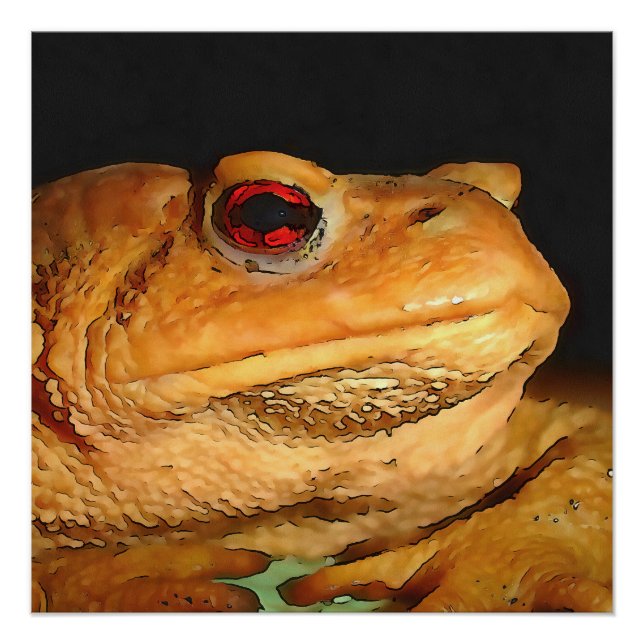 Gemeinsamer Europäischer Toad Bufo Bufo Schwarze K Poster (Vorderseite)