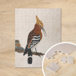 Gemeinsames Hoopoe | William Lewin Puzzle<br><div class="desc">Gemeinsames Parlament (vor 1790) | William Lewins Common Hoopoe ist eine elegante und detaillierte Darstellung eines Hopoevogels, der auf einem Ast auf einem minimalistischen neutralen Hintergrund steht. Das Gemälde hebt das unverwechselbare Wappen des Vogels hervor und zeichnet mit bemerkenswerter Präzision aus, was seine einzigartige Schönheit unterstreicht. Die Einfachheit des Hintergrundes...</div>