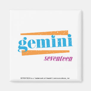 Gemini Aqua Magnet