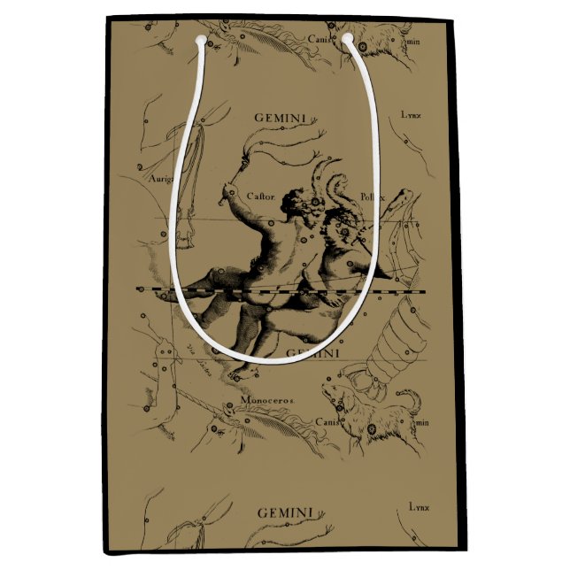 Gemini Constellation Hevelius 1690 Mai12-Juni20 Mittlere Geschenktüte (Vorderseite)