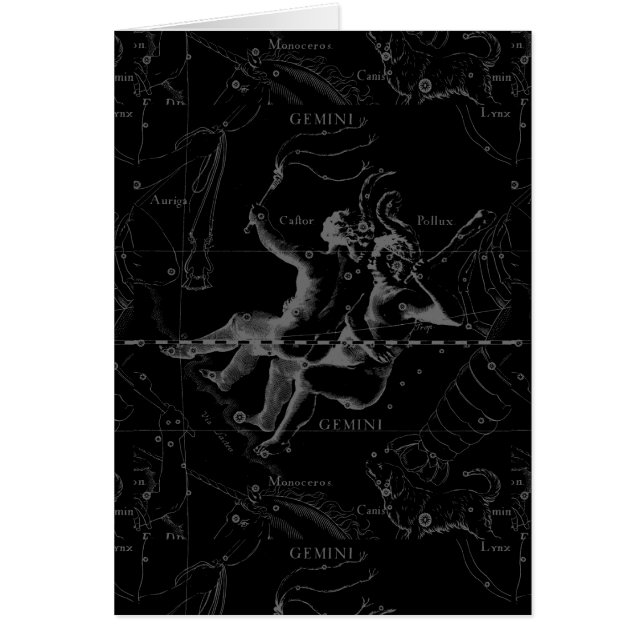 Gemini Constellation Map Gravur von Hevelius (Vorne)