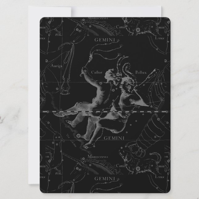 Gemini Constellation Map Gravur von Hevelius (Vorderseite)