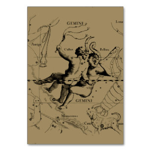 Gemini Constellation Map Hevelius circa 1690 Tischnummer