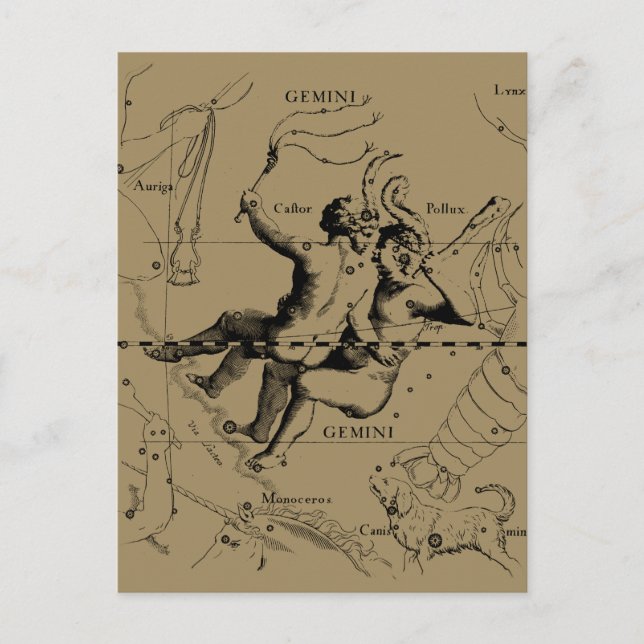 Gemini Constellation Zodiac Hevelius 1690 Postkarte (Vorderseite)