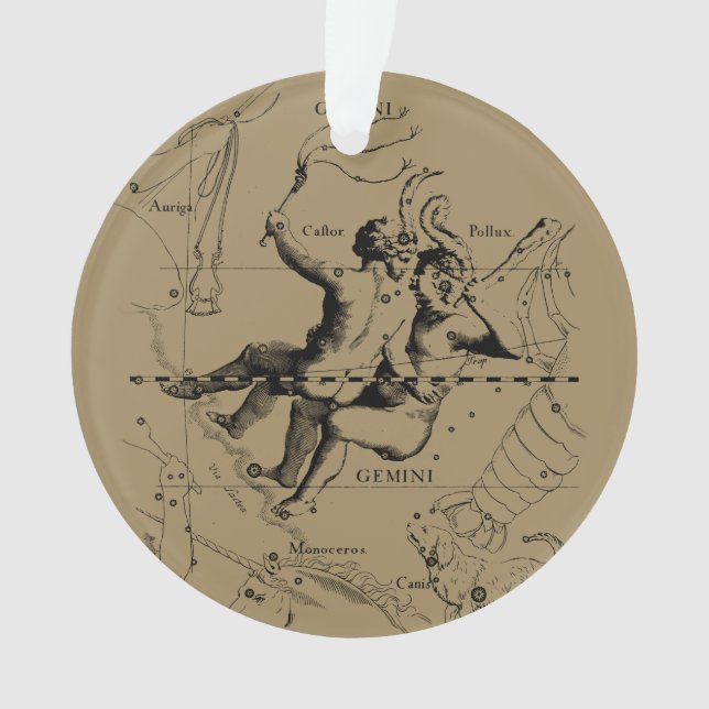 Gemini Constellation Zodiac Hevelius ca. 1690 Ornament (Vorderseite)