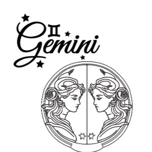 "Gemini" farbig T-Shirt