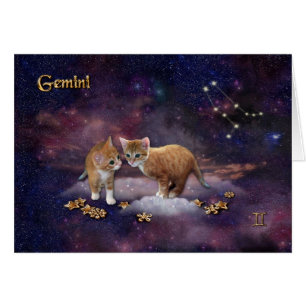 Gemini für Cat Lovers
